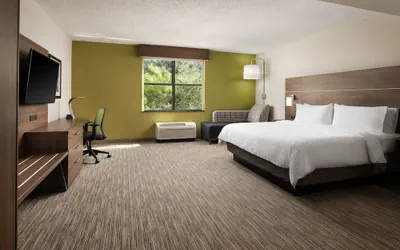 Photo 4 - Holiday Inn Express & Suites Irving Dfw Airport North by IHG