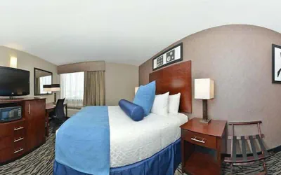 Photo 5 - Wyndham Garden Elk Grove Village/O'Hare