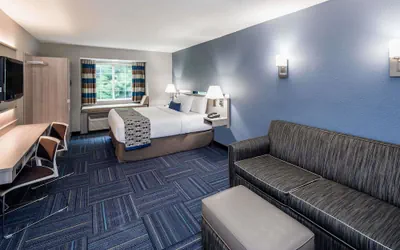 Photo 5 - Microtel Inn & Suites by Wyndham Greenville / Woodruff Rd