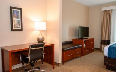 Photo 4 - Comfort Inn & Suites Patriots Point