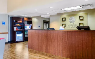 Photo 4 - Comfort Inn & Suites Biloxi - D'Iberville