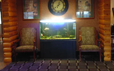 Photo 3 - American Inn and Suites Houghton Lake