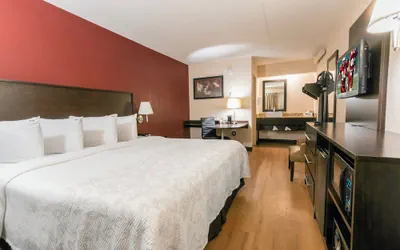 Photo 2 - Red Roof Inn PLUS+ West Springfield
