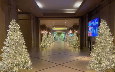 Photo 3 - Lansdowne Resort and Spa