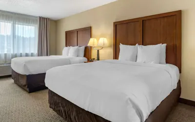 Photo 5 - Comfort Inn & Suites Bothell - Seattle North
