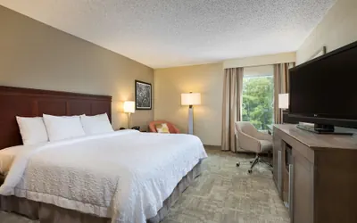 Photo 4 - Hampton Inn Houston-Near The Galleria