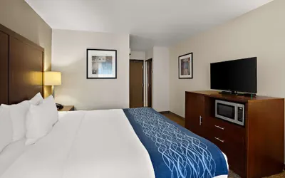 Photo 4 - Comfort Inn Lacey - Olympia