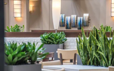 Photo 4 - Embassy Suites by Hilton Seattle Tacoma International Airport