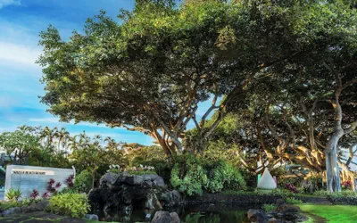 Photo 2 - Wailea Beach Resort - Marriott, Maui