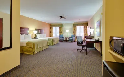 Photo 3 - Holiday Inn Houston East - Channelview by IHG