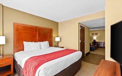 Photo 2 - Comfort Inn & Suites Lakeland North I-4