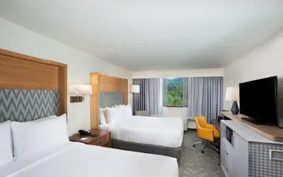 Photo 5 - Holiday Inn Asheville East-Blue Ridge PKWY by IHG