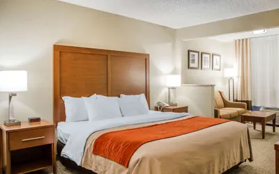 Photo 2 - Comfort Inn Idaho Falls I-15