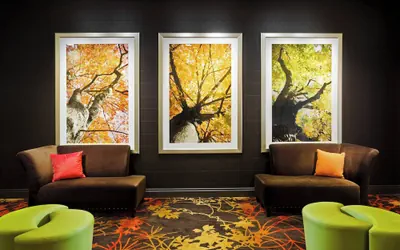 Photo 3 - Sheraton Springfield Monarch Place Hotel