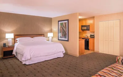 Photo 5 - Sheraton Springfield Monarch Place Hotel