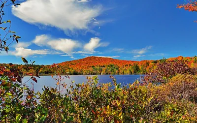 Photo 4 - Mountain Lake Inn