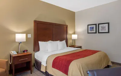 Photo 5 - Comfort Inn Chester - Richmond South