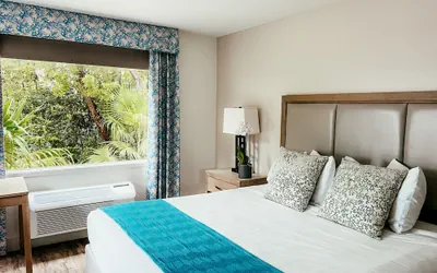 Photo 5 - Bayside Inn Key Largo