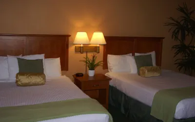 Photo 5 - Miracle Springs Resort & Spa
