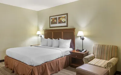 Photo 5 - Country Inn & Suites by Radisson, Atlanta Downtown