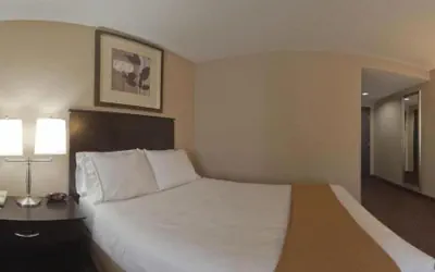Photo 3 - Holiday Inn Express Hotel & Suites Ashtabula-Geneva by IHG