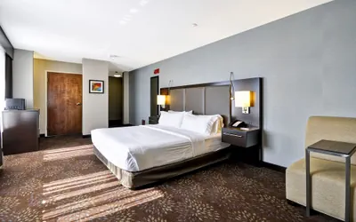 Photo 4 - Holiday Inn Express Romulus / Detroit Airport by IHG