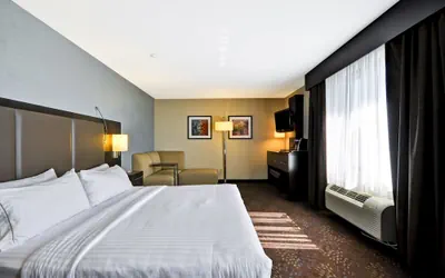 Photo 5 - Holiday Inn Express Romulus / Detroit Airport by IHG