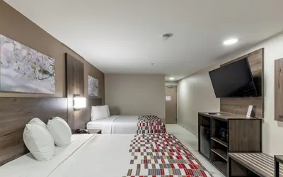 Photo 5 - Red Roof Inn Pharr - McAllen