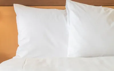 Photo 2 - Holiday Inn Express & Suites Wheat Ridge-Denver West by IHG