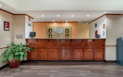 Photo 3 - Comfort Suites Jacksonville Airport