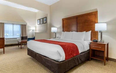 Photo 5 - Comfort Suites Jacksonville Airport