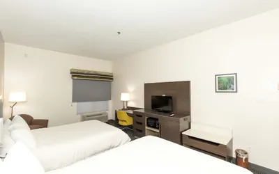 Photo 4 - Hampton Inn Kerrville
