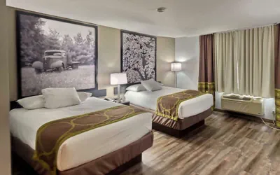 Photo 3 - Super 8 by Wyndham Georgetown