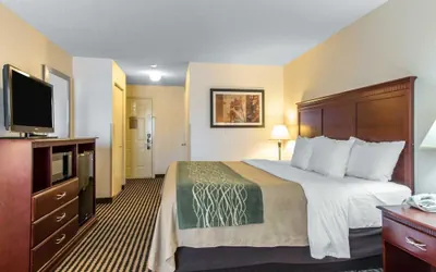 Photo 5 - Comfort Inn Birmingham - Irondale
