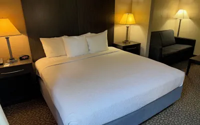 Photo 3 - Comfort Inn & Suites Bradenton North I-75