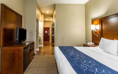 Photo 5 - Comfort Suites Mattoon East