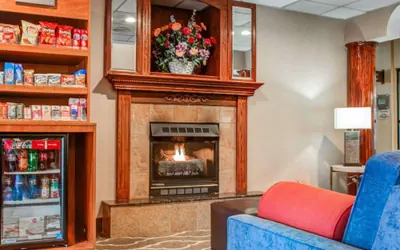 Photo 3 - Comfort Suites Lombard - Addison