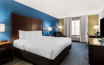 Photo 5 - Comfort Inn & Suites near Tinley Park Amphitheater