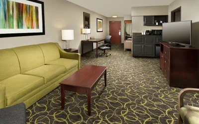Photo 5 - Holiday Inn Express & Suites DFW - Grapevine by IHG