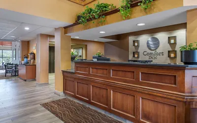 Photo 5 - Comfort Inn Okemos - East Lansing