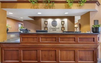 Photo 3 - Comfort Inn Okemos - East Lansing