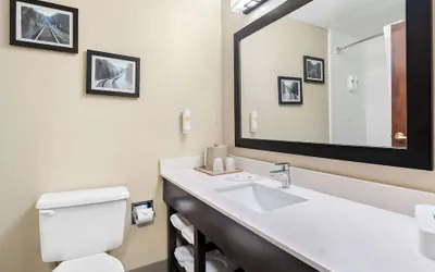 Photo 3 - Comfort Suites near Robins Air Force Base