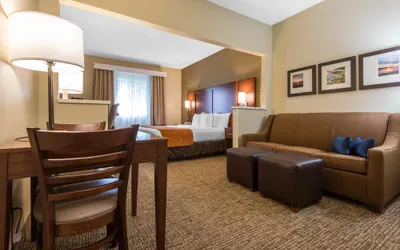 Photo 5 - Comfort Suites Rochester Henrietta University Area