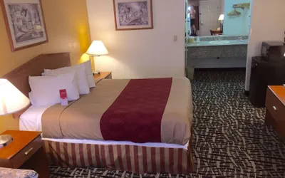 Photo 5 - Executive Inn