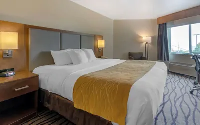 Photo 4 - Comfort Inn & Suites Market - Airport