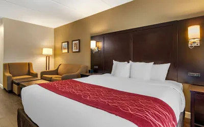 Photo 4 - Comfort Inn & Suites near Six Flags