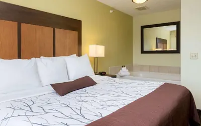 Photo 5 - Comfort Inn Holland