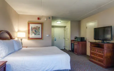 Photo 5 - Hilton Garden Inn Detroit Metro Airport