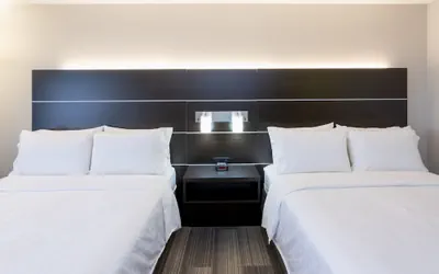 Photo 3 - Holiday Inn Express & Suites Vadnais Heights by IHG