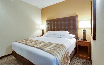 Photo 5 - Drury Plaza Hotel St. Louis at the Arch